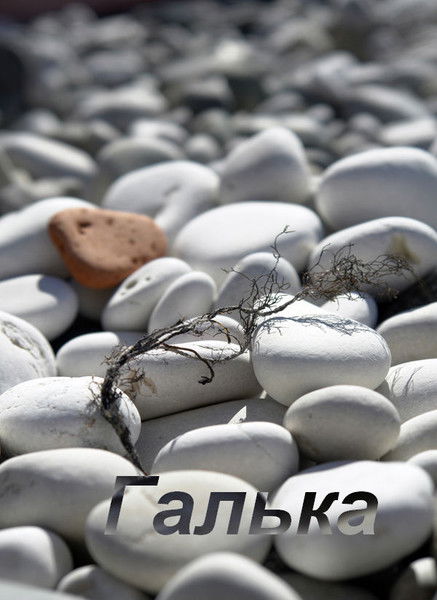 Galka Грозеско