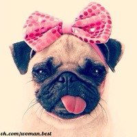 Василиса Мясникова