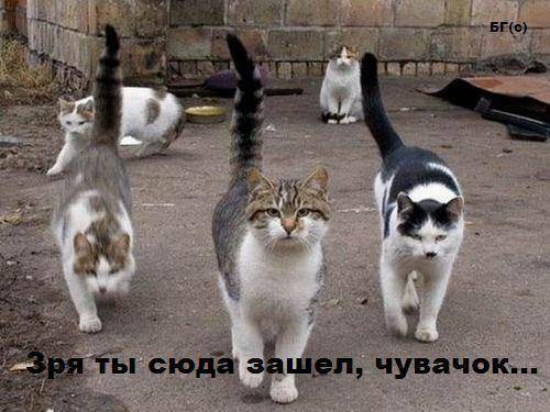 Эля Боранбай