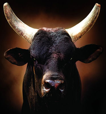 Дроботенко Роман