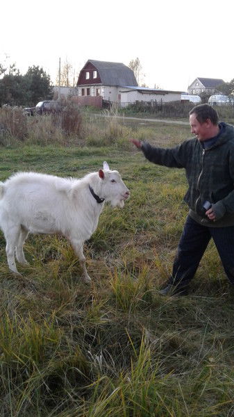 Андрей Фильчаев