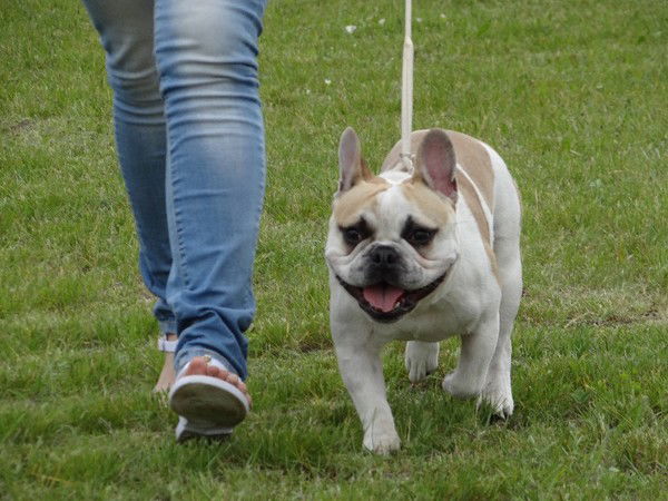 Татьяна Доманова