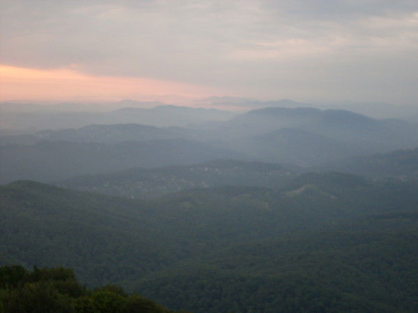 Елена Матвеева