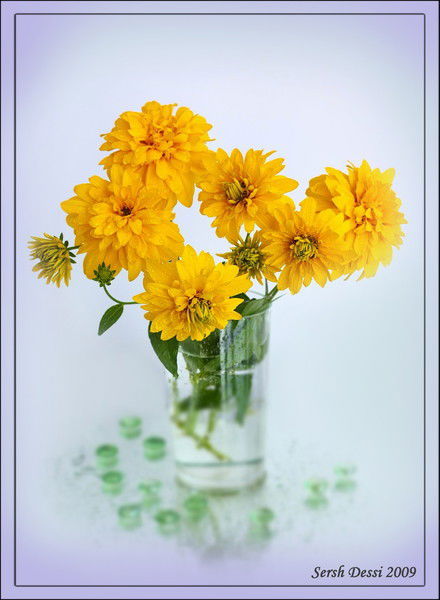 Гульнур Нуртазаева