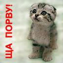 Кот Матроскин