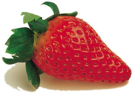 Анна Кроткова