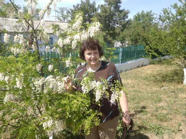 Елена Дмитриева