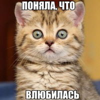 Лера Карпенко