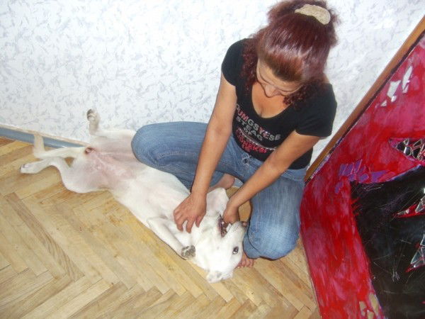 Нинель Ясенкова