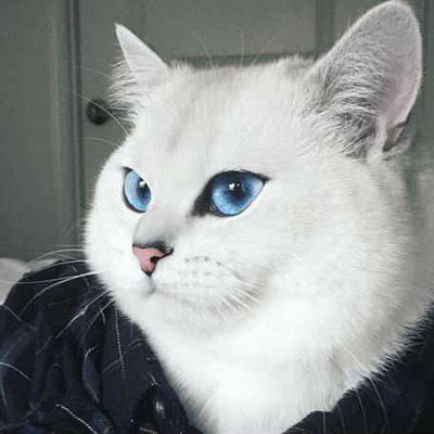 Иван Соловьев