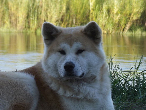 Юлечка Иванова