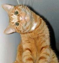 Константин Иванов