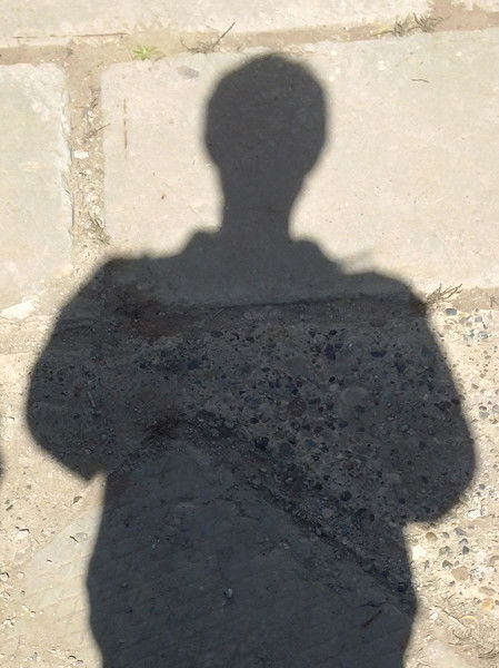 Владимир Сулимов