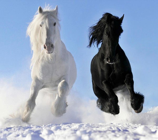 Жандос Таженов