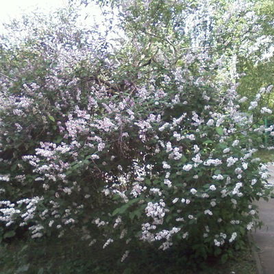 Фирдия Садриева