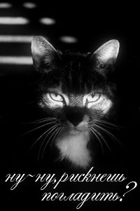 Екатерина Кайгородова