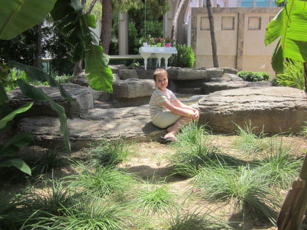 Александр Ракито