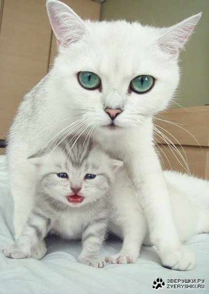 Роза Позднякова