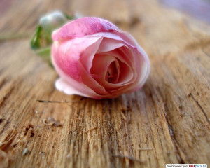 Жадыра Надирбекова