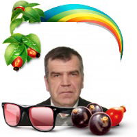 Владимир Полянский