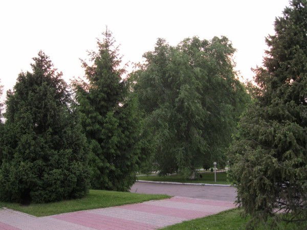 Татьяна Симятова