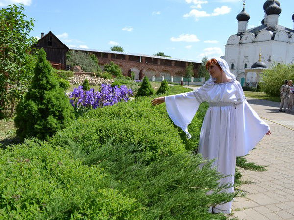 Елена Дашко