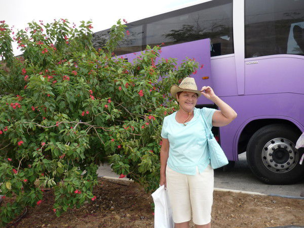 Лидия Николаева