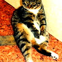 Виктория Коршунова