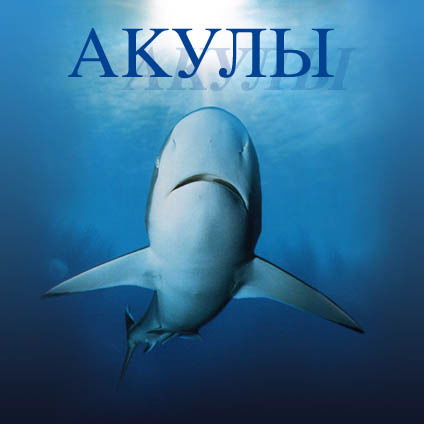 Виктор Стричик