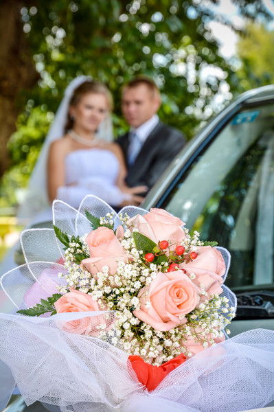 Елена Сидорова