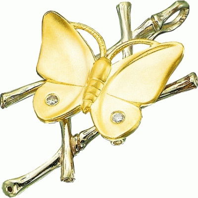 Андрей Денин