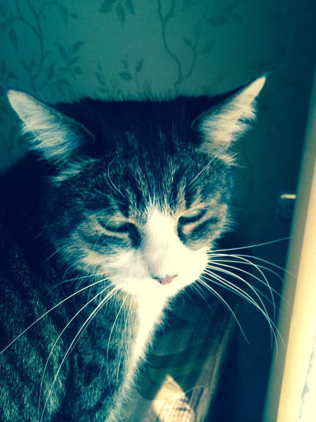 Екатерина Спиркина