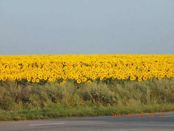 Иван Каретников