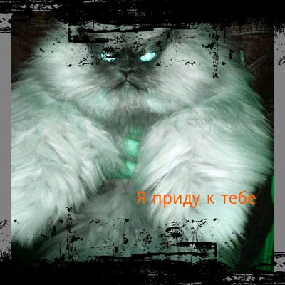 Илья Юсупов