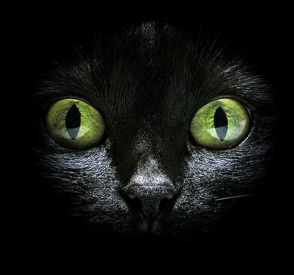 Ольга Татаренко