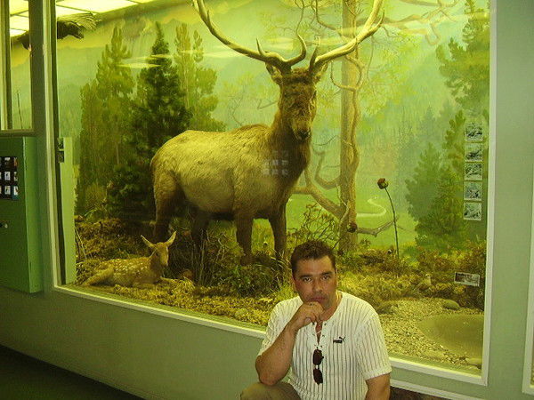 Александр Матросов