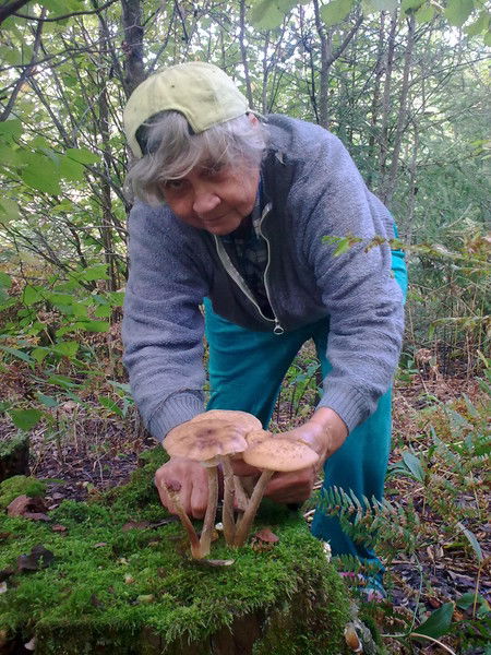 Людмила Романова