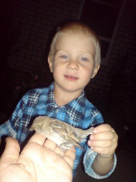 Антон Блинов