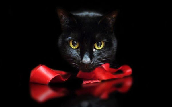 Оля Диденко