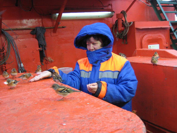 Маргарита Матвеева