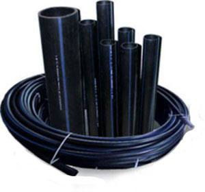 Ольга Черныш