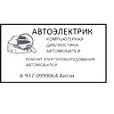 Антон Автоэлектрик