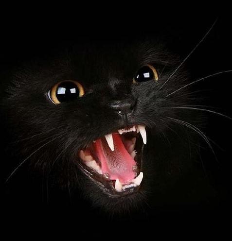 Мария Поспелова