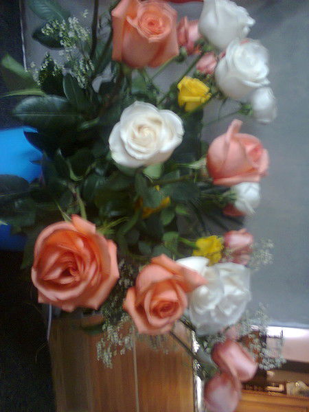 Директор Славянка