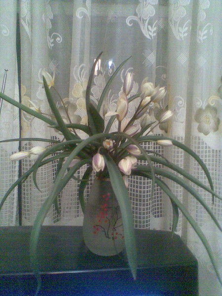 Геннадий Нарожный