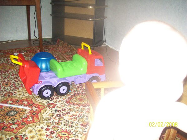 *********багира *********