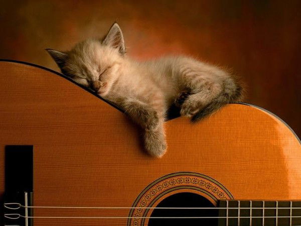 Алина Абляскина