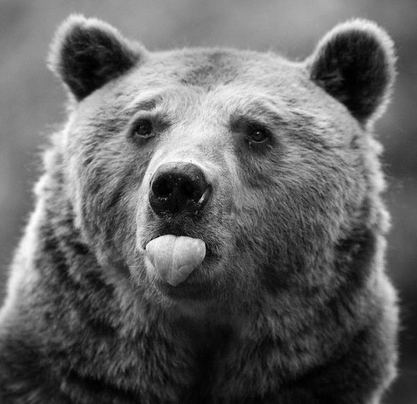 Юрий Соловёв