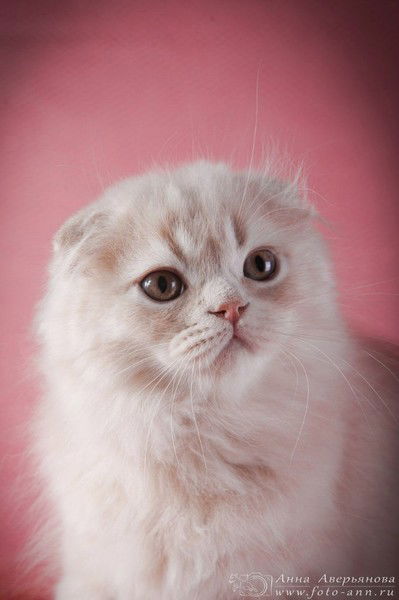 Сергей Казаков