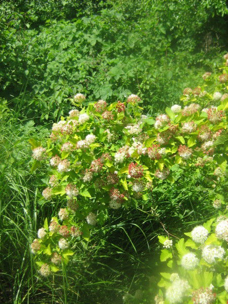 Маришка ))))))))